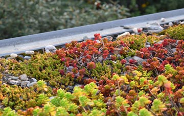 the cost of Cwm Llinau green roof installation