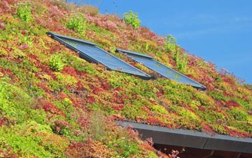 Cwm Llinau living roof systems