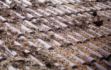 Cwm Llinau roof cleaning companies