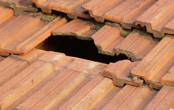 roof repair Cwm Llinau, Powys