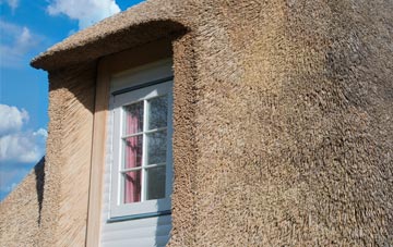 Cwm Llinau thatch roof disadvantages