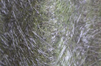 Cwm Llinau fibreglass roof work